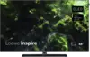 Loewe Inspire 48 dr+ Basalt Grey 