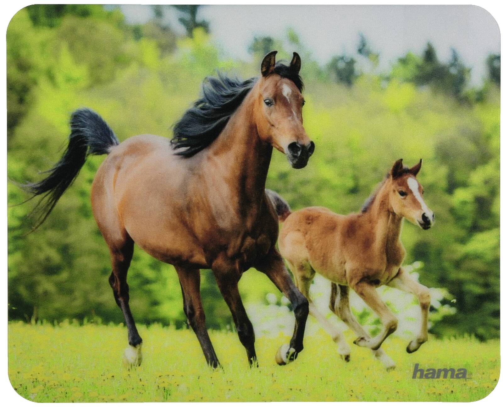 Abbildung 4 zu Hama Mauspad Tiermotiv  54790 PC Laptop Notebook Zubehör