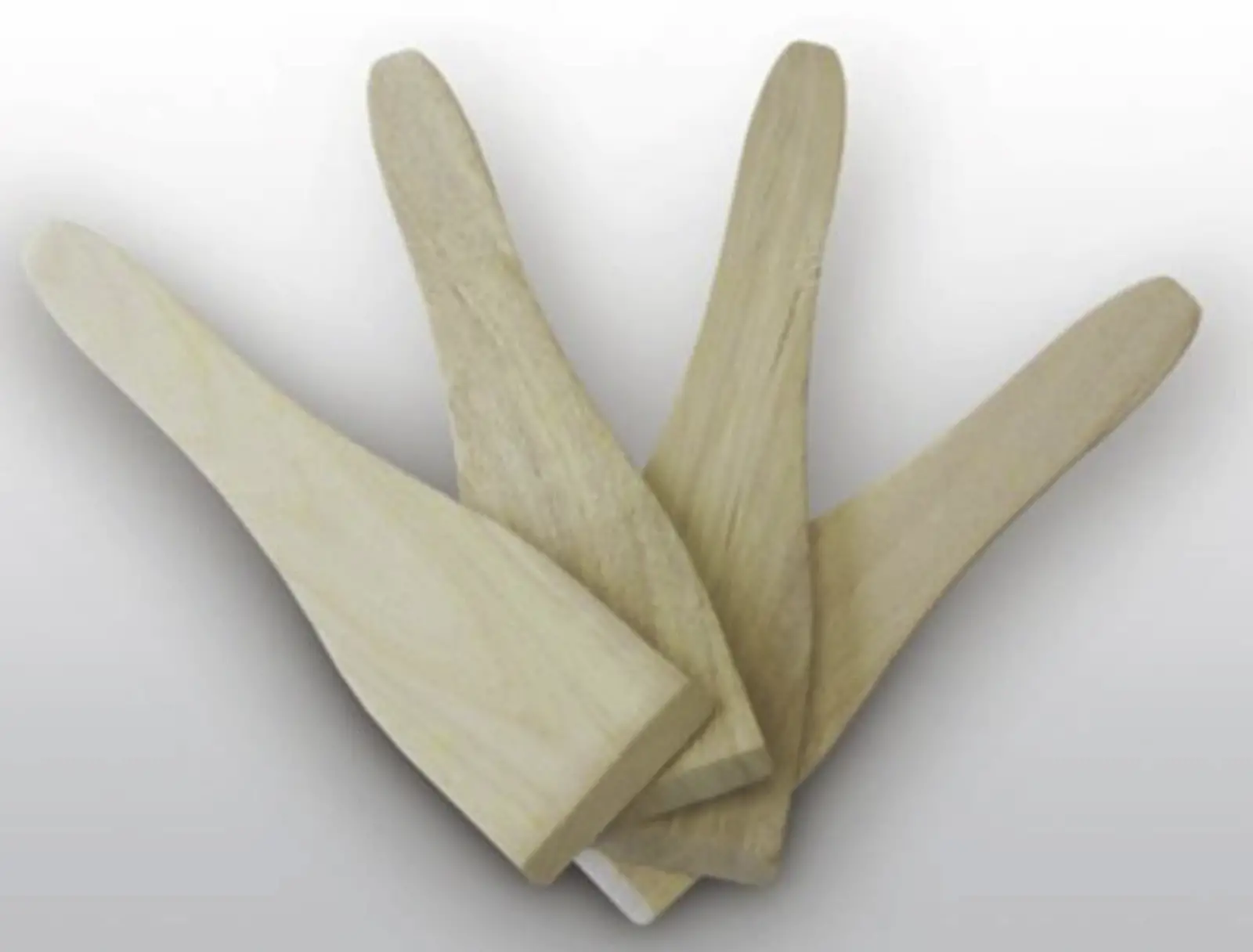 FRITEL Houten Spatels - 4 Stuks