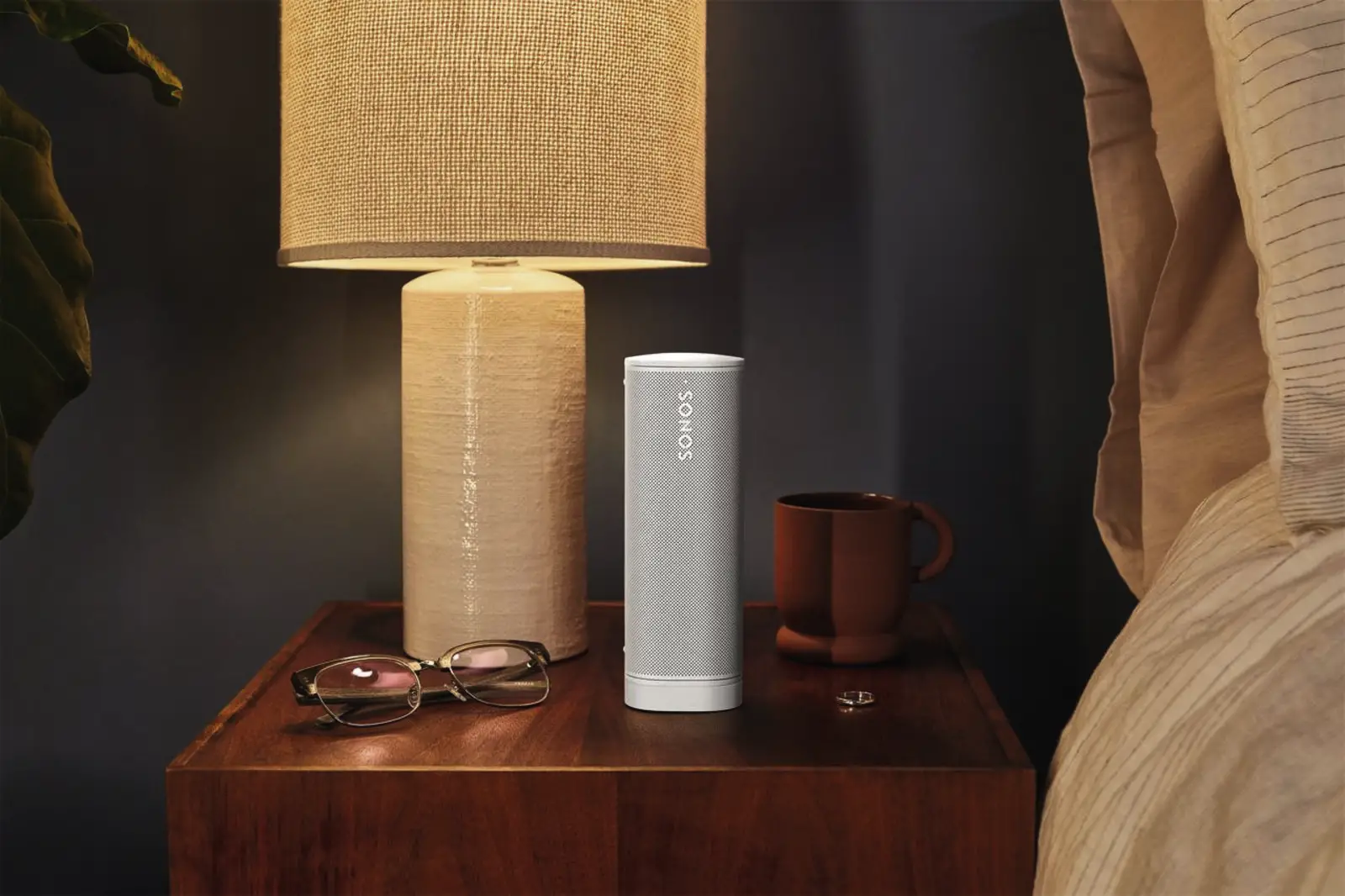 Wireless Charger for Roam