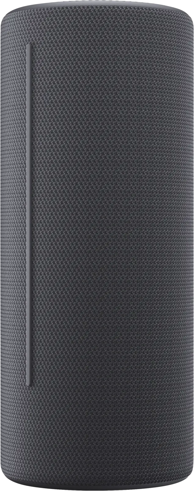 Loewe We. HEAR 2 Storm Grey bluetooth speaker