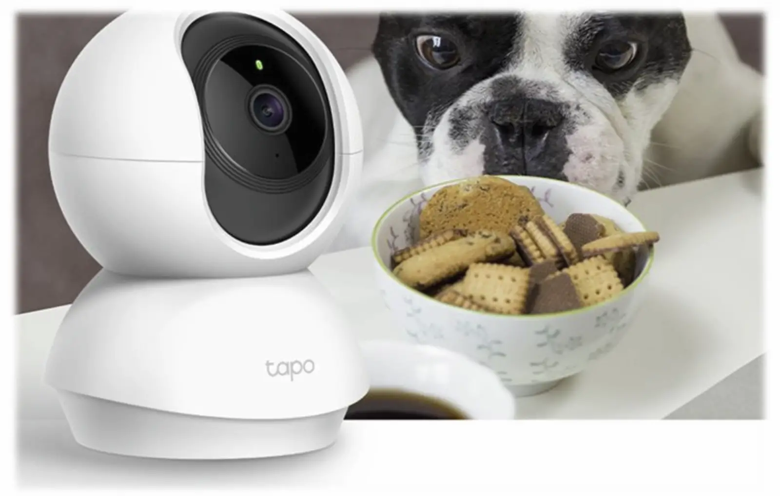 TP-Link Tapo C200