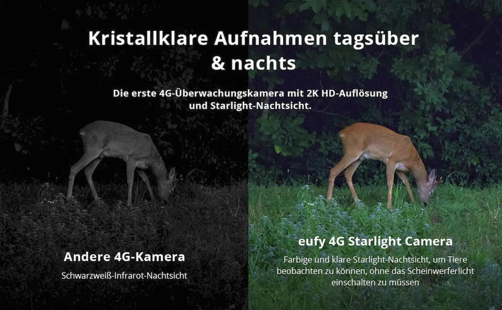 Eufy 4G Starlight Camera