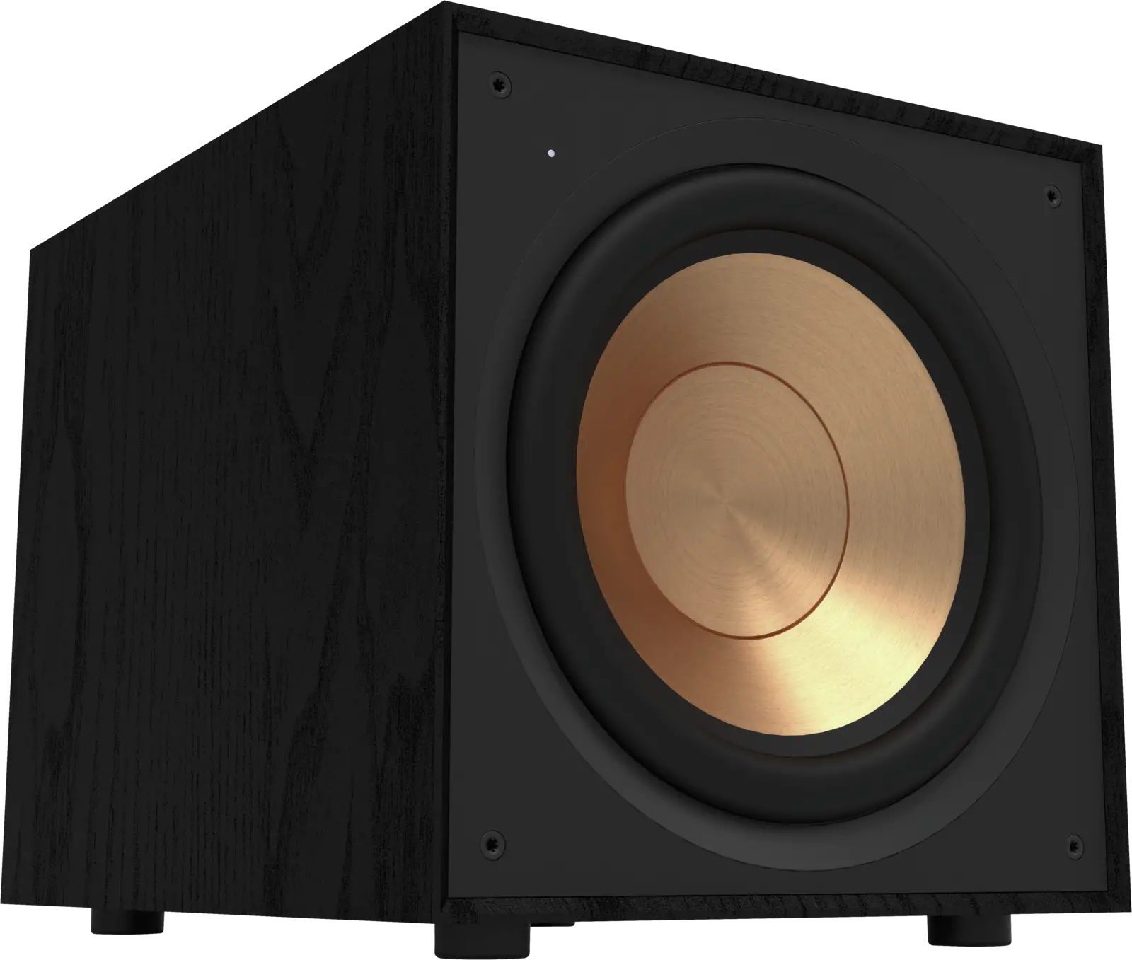 R-101SW