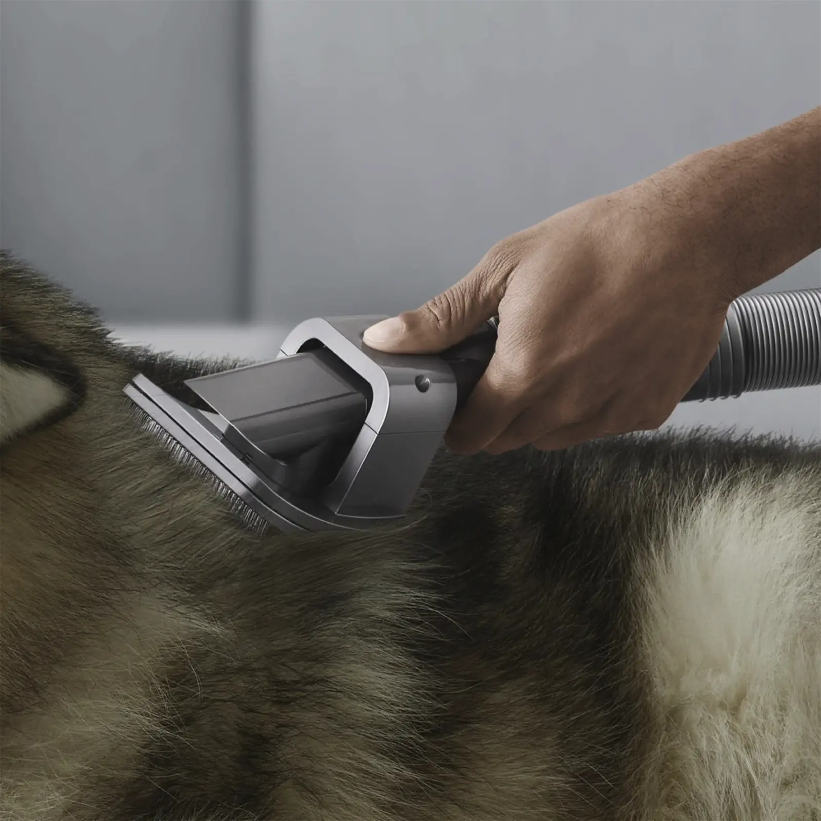 Dyson Pet Grooming Kit - Steelstofzuiger Accessoire