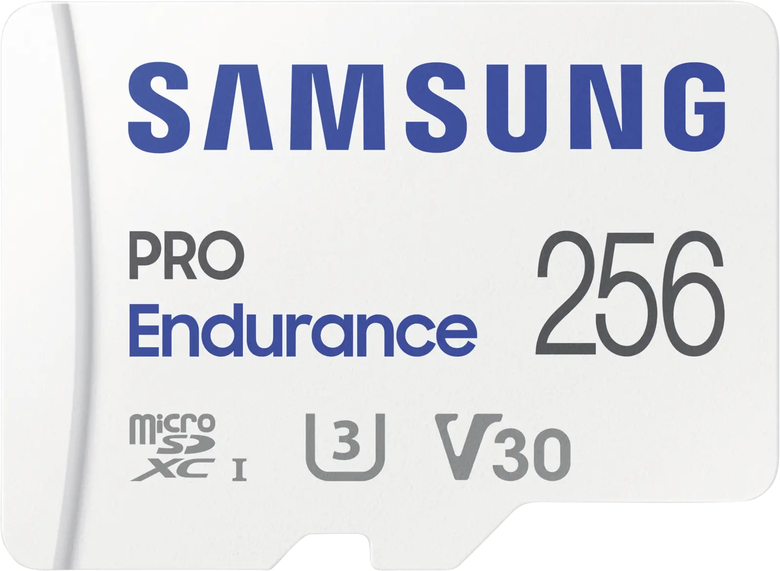 PRO Endurance 2022 256GB