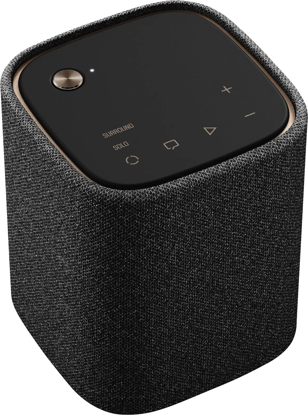 TRUE X SPEAKER 1A