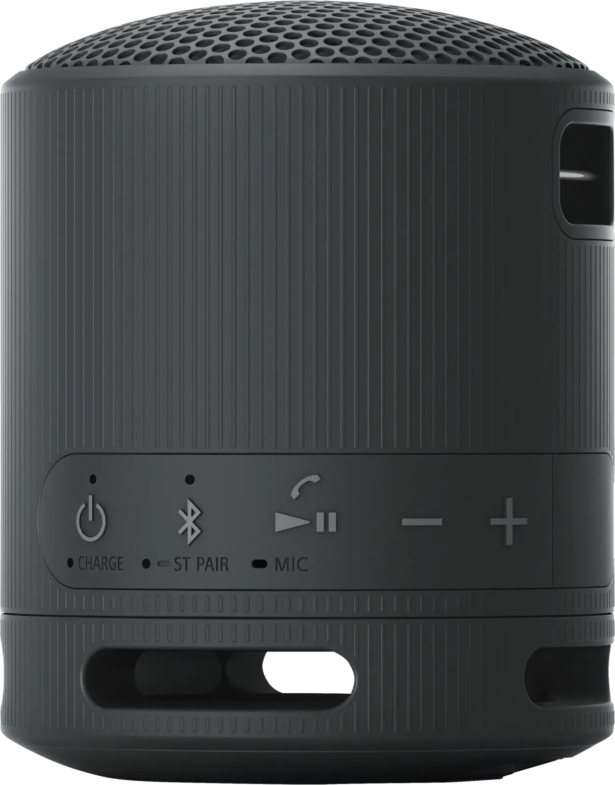 SRS-XB 100
