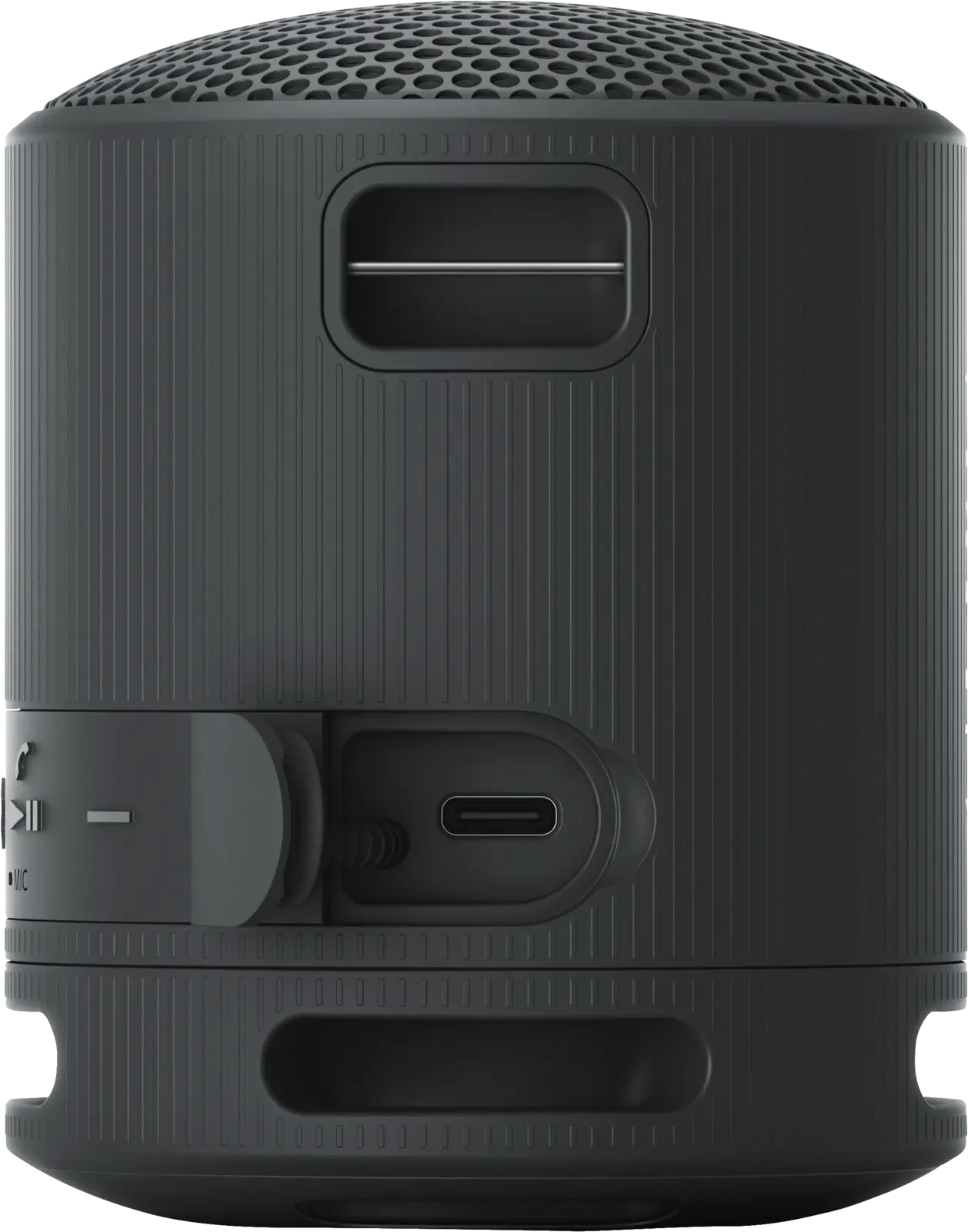 SRS-XB 100