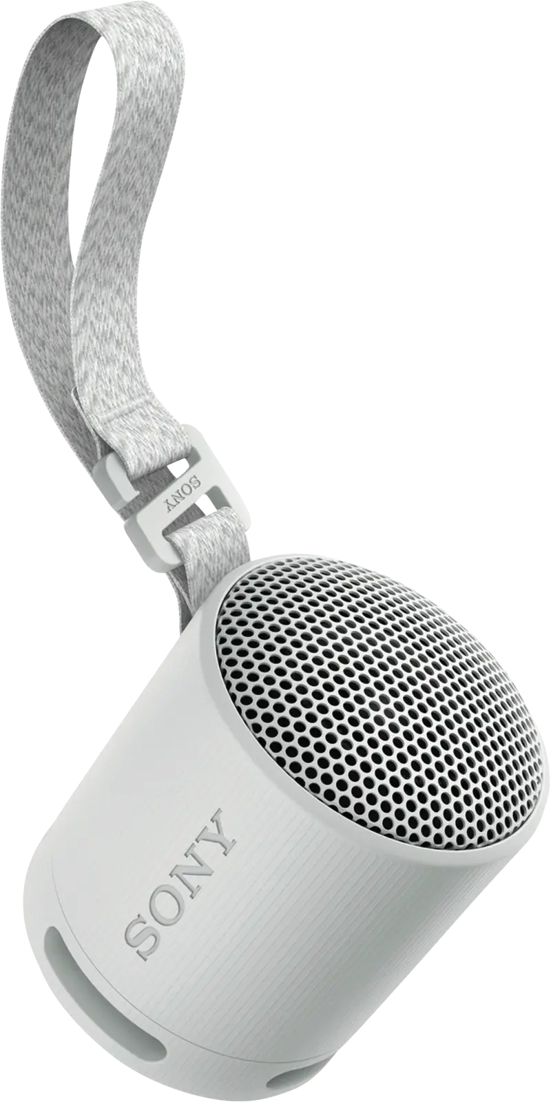 SRS-XB 100