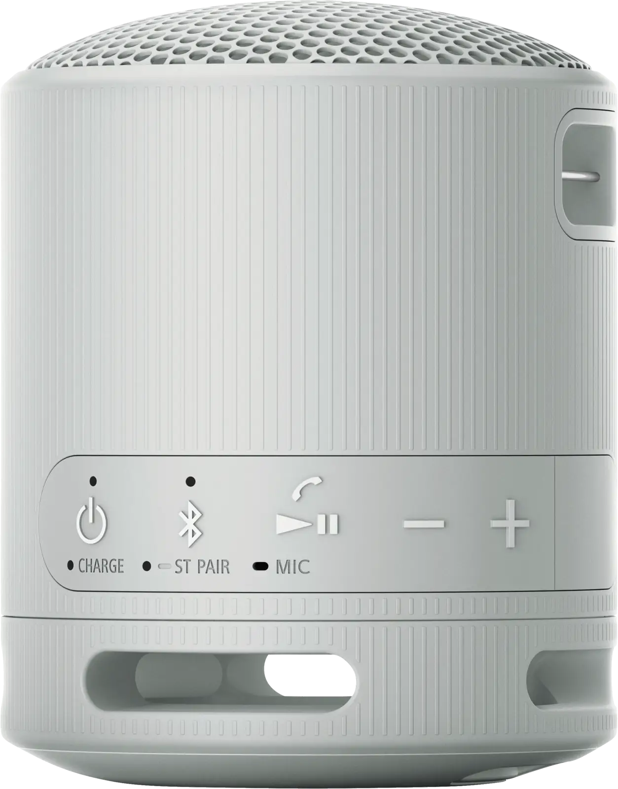 SRS-XB 100