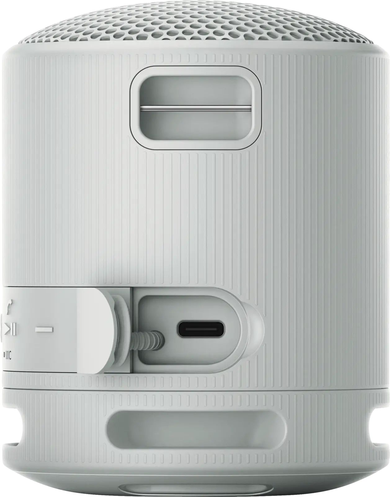 SRS-XB 100