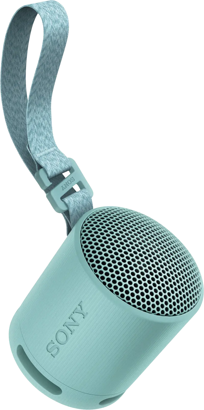 SRS-XB 100