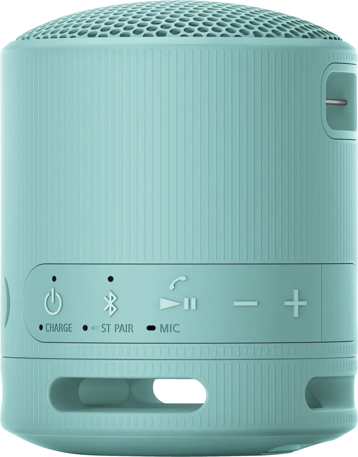 SRS-XB 100