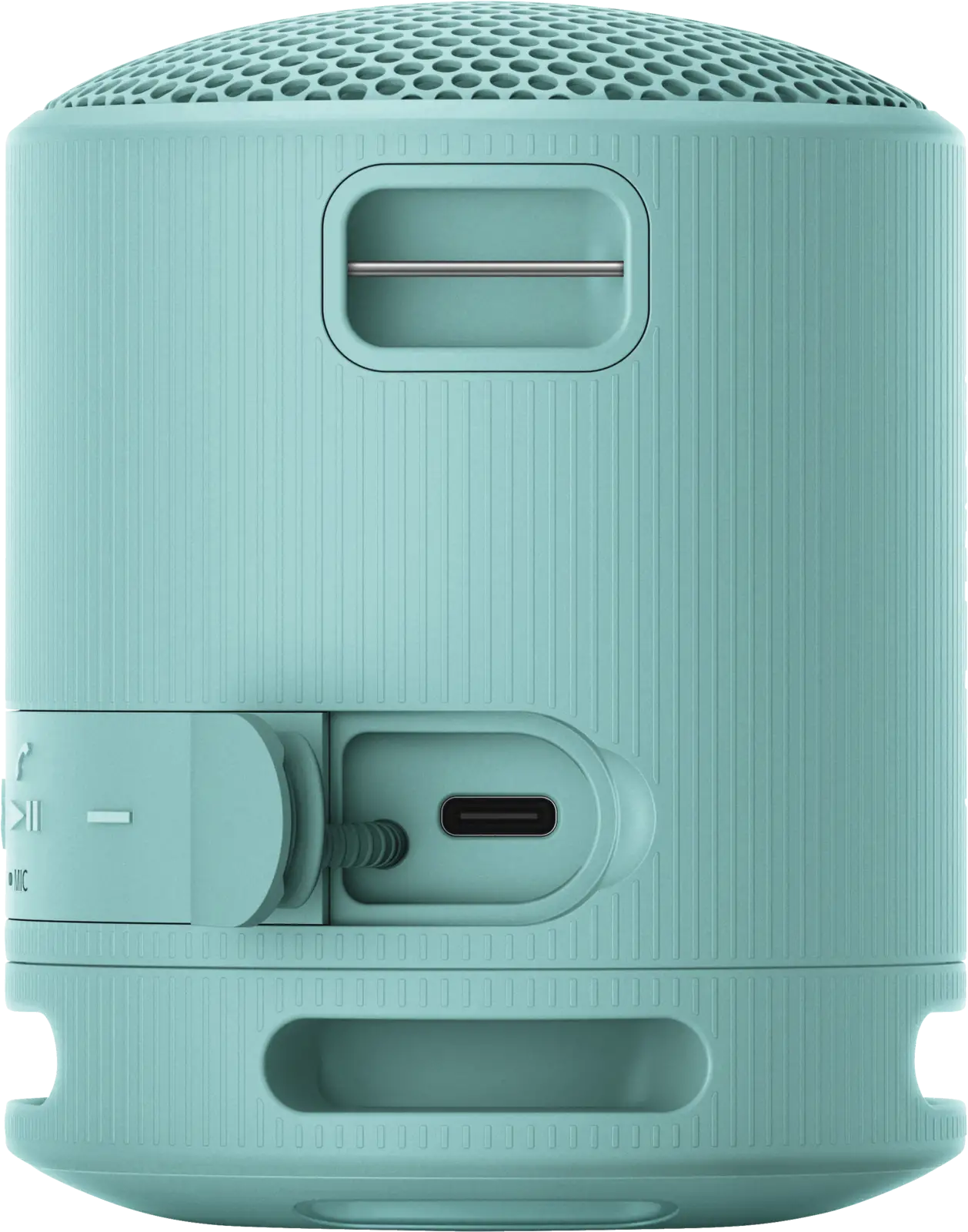SRS-XB 100