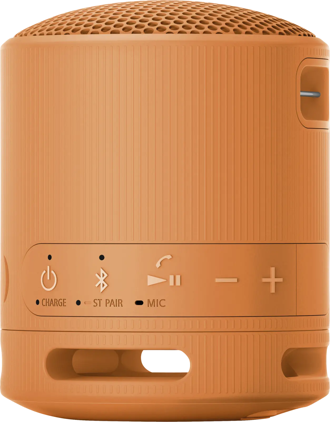 SRS-XB 100