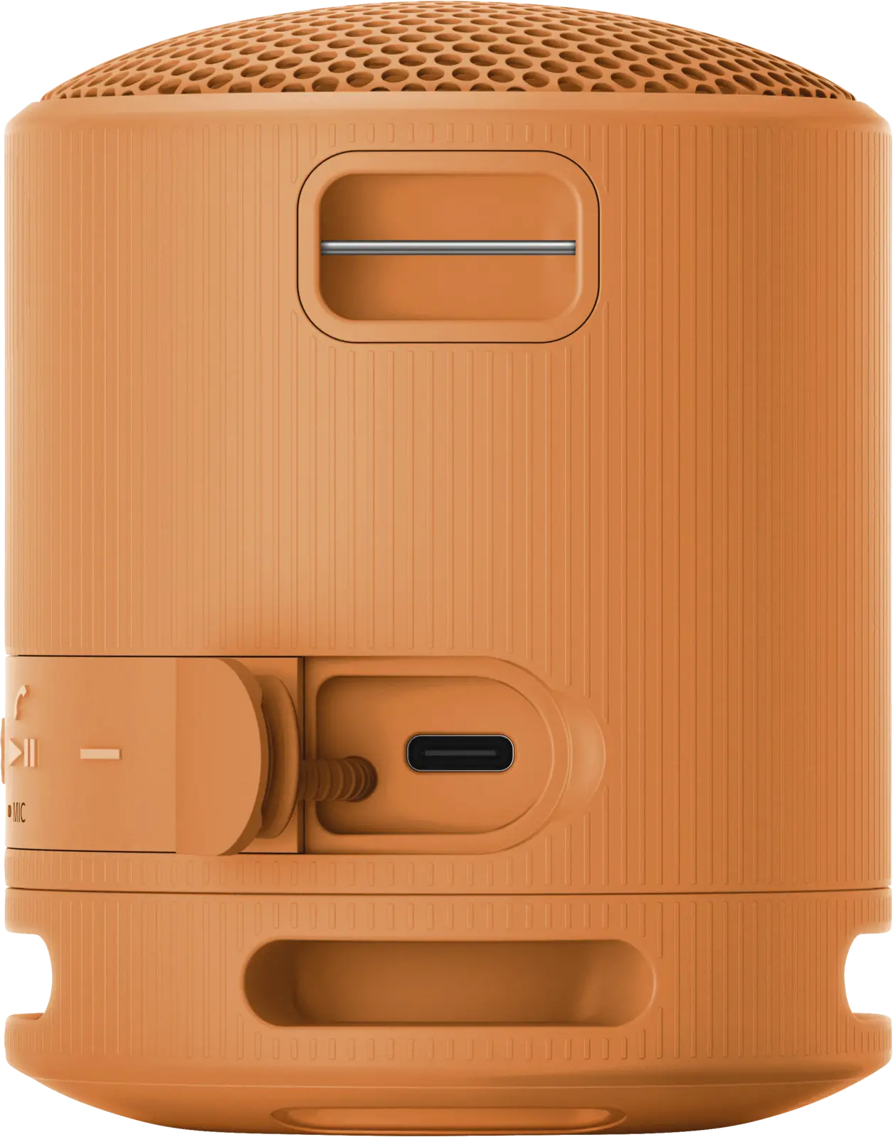 SRS-XB 100
