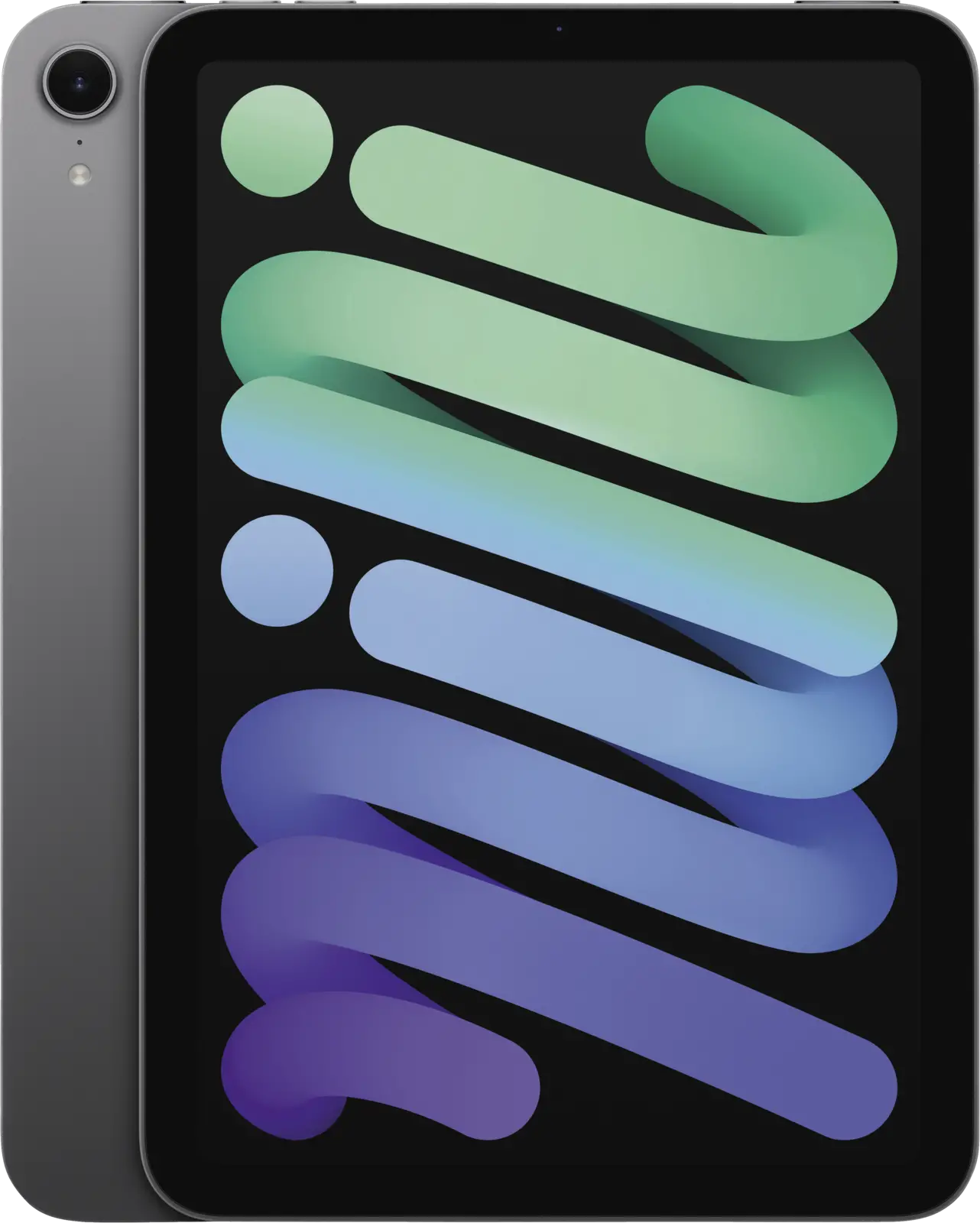 Apple iPad mini Wi-Fi 128GB - Grijs