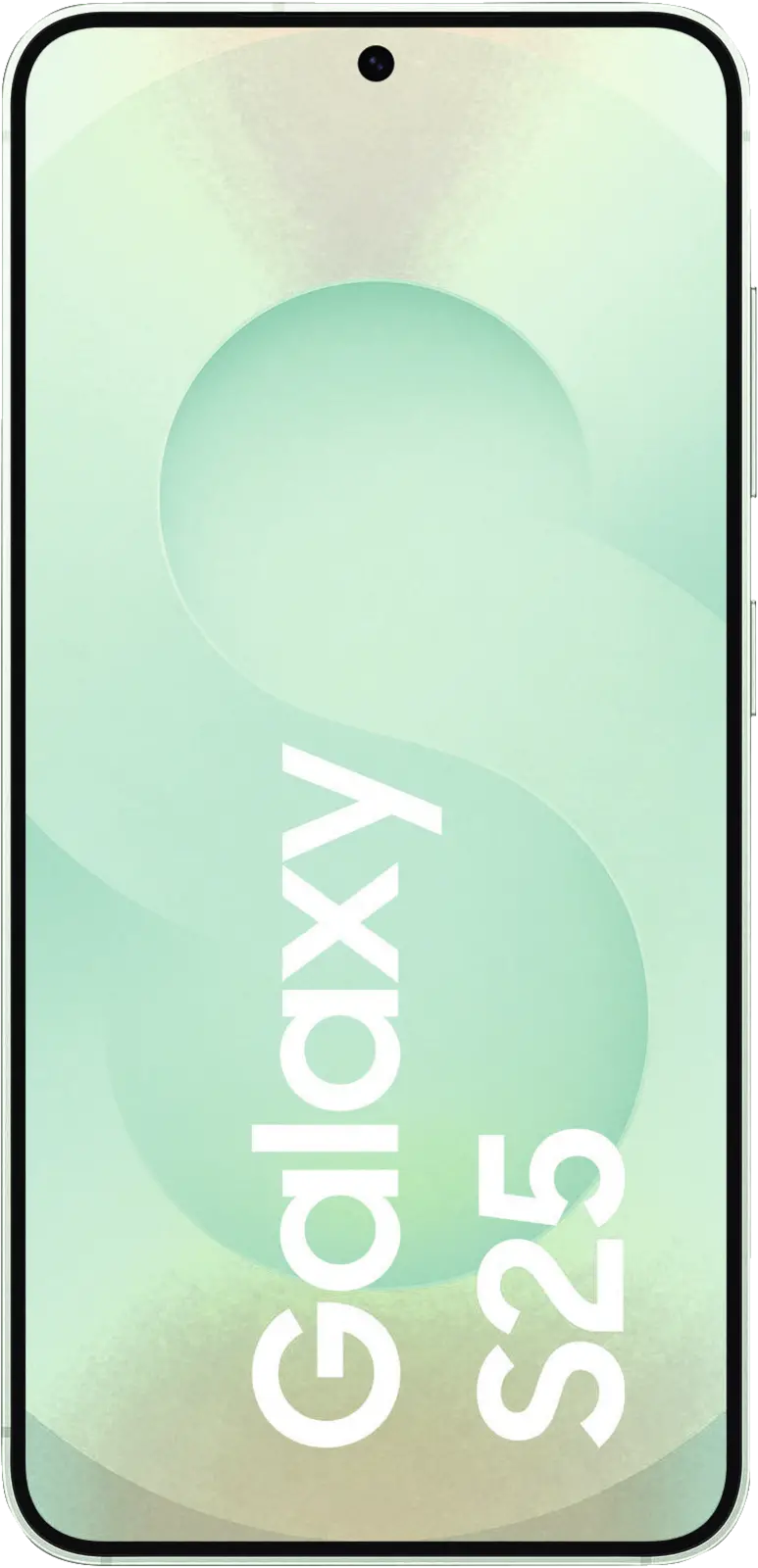 Galaxy S25 S931B 256GB
