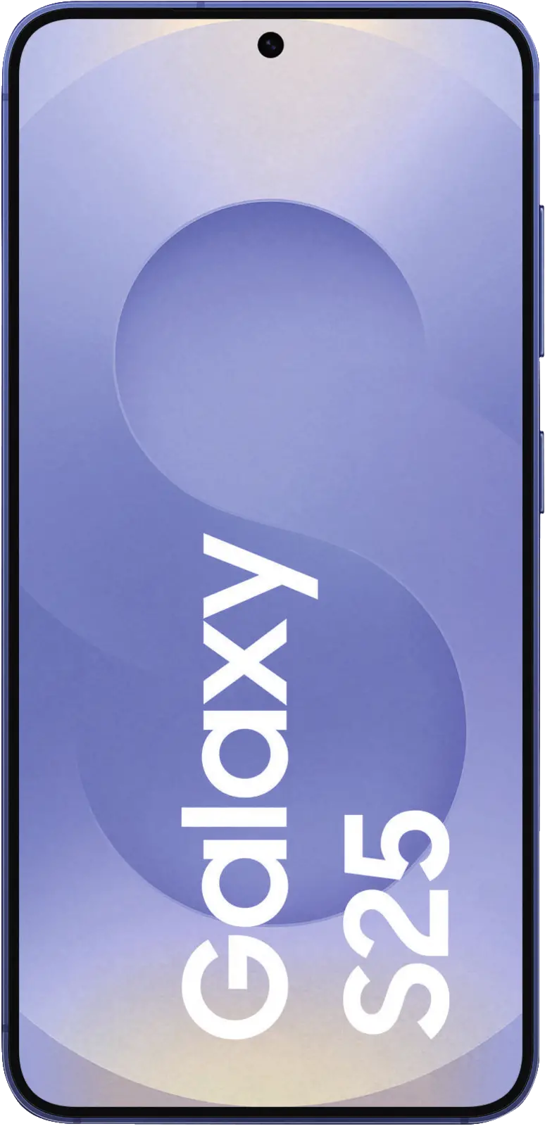 Galaxy S25 S931B 256GB
