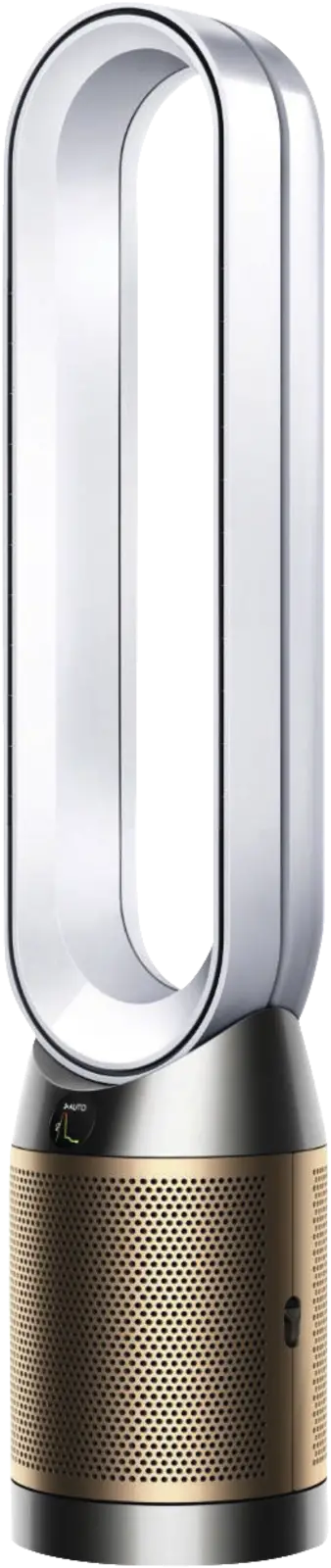 Dyson Purifier Cool PC2 De-NOx​