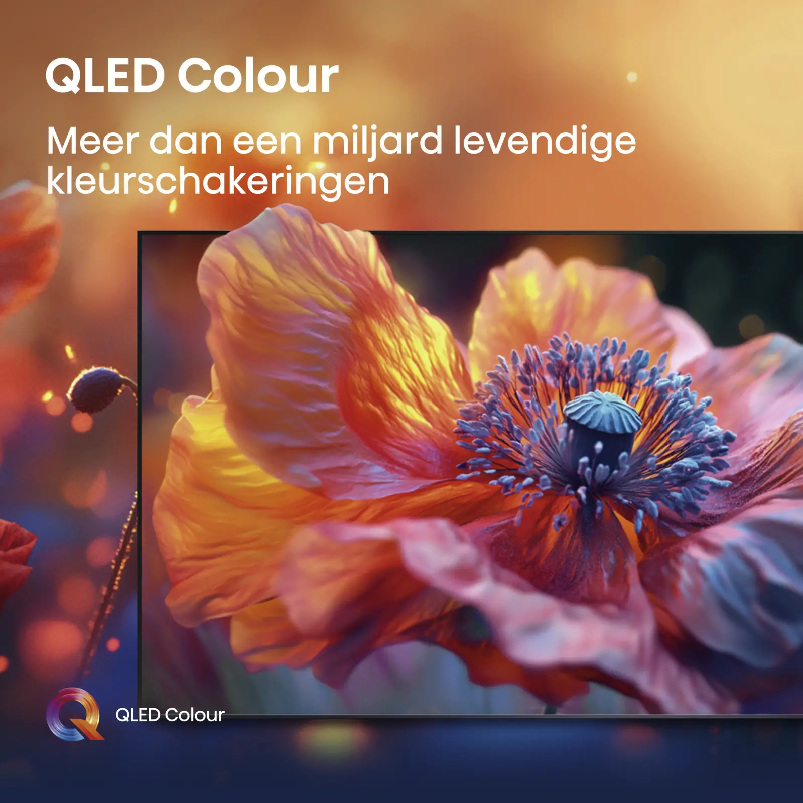 Hisense 65A79Q TV (2025)