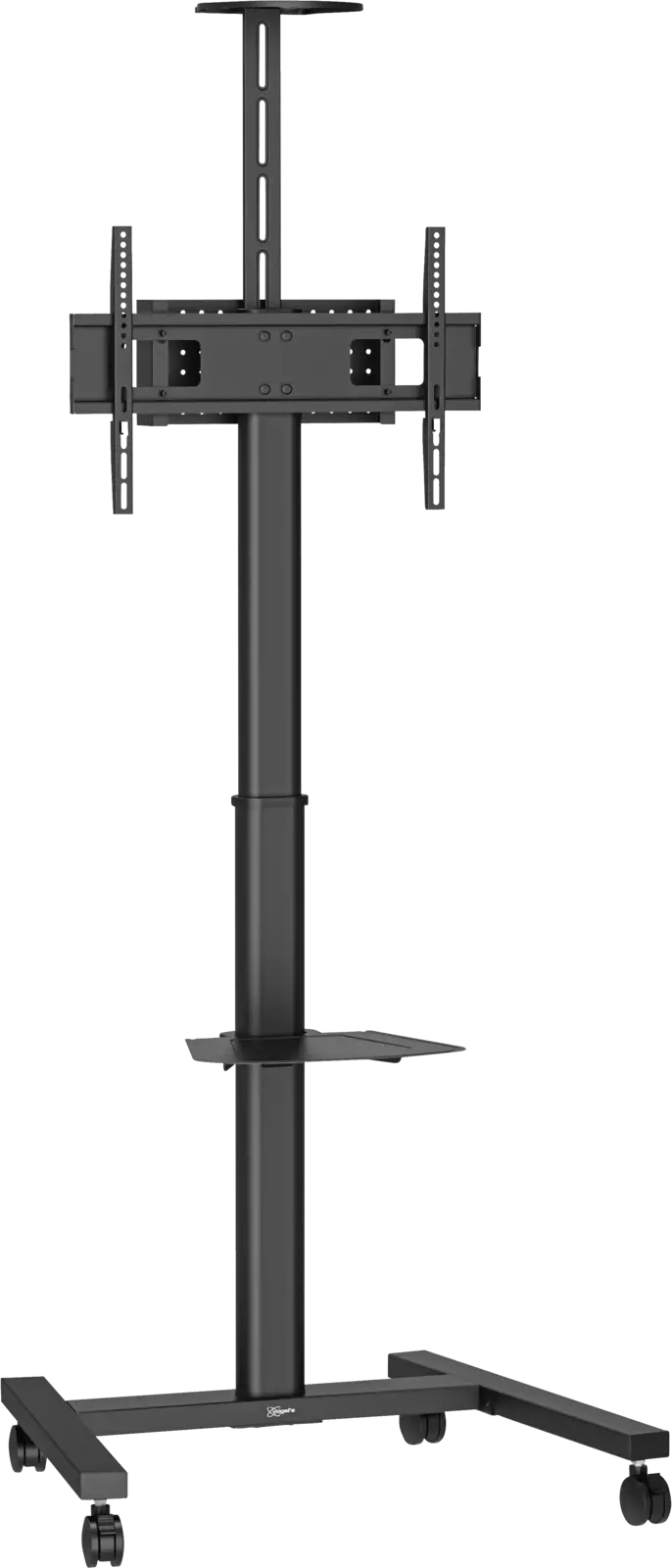 T1031