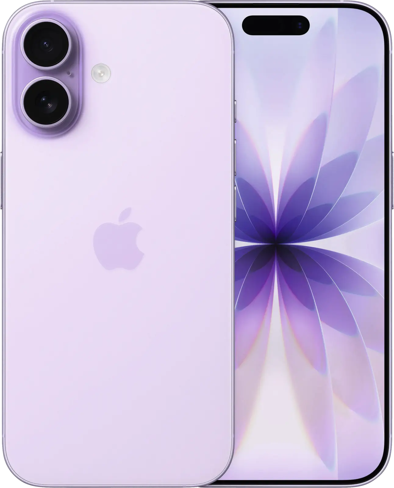 Apple iPhone 17 256GB