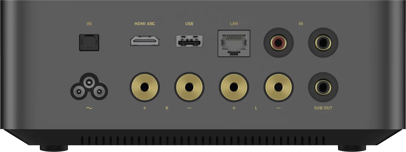 WiiM Amp Ultra High-End Streaming Versterker