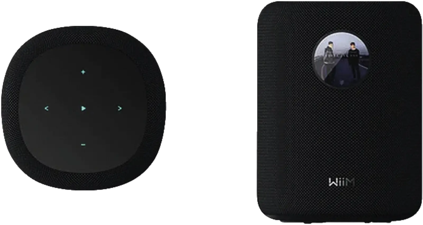 WiiM Sound Zwart