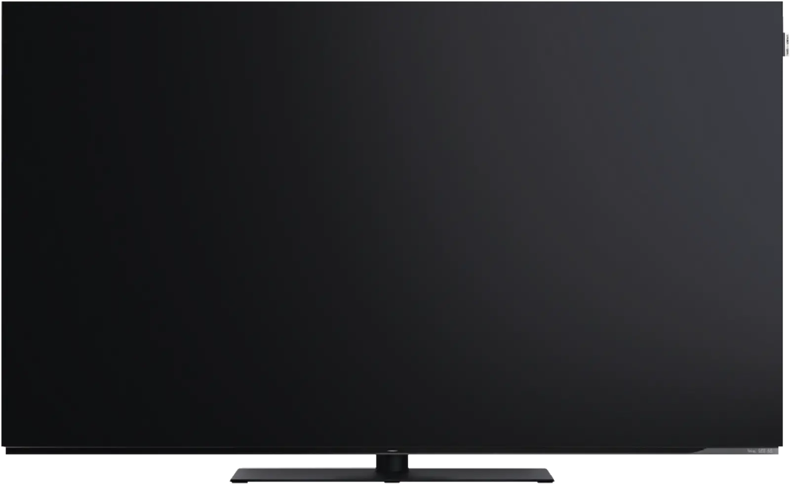 Loewe We. SEE 55 oled dc 