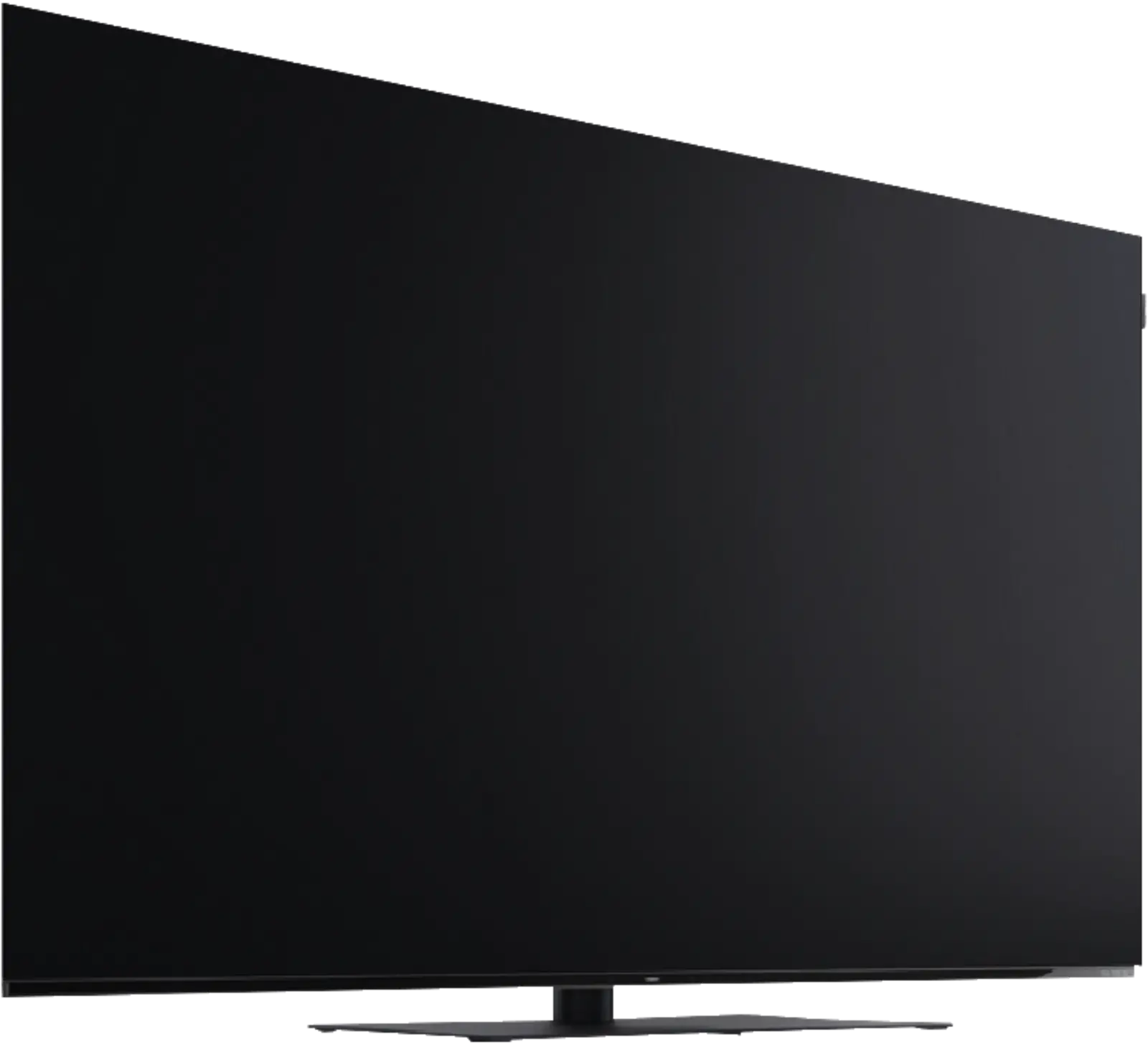 Loewe We. SEE 55 oled dc 