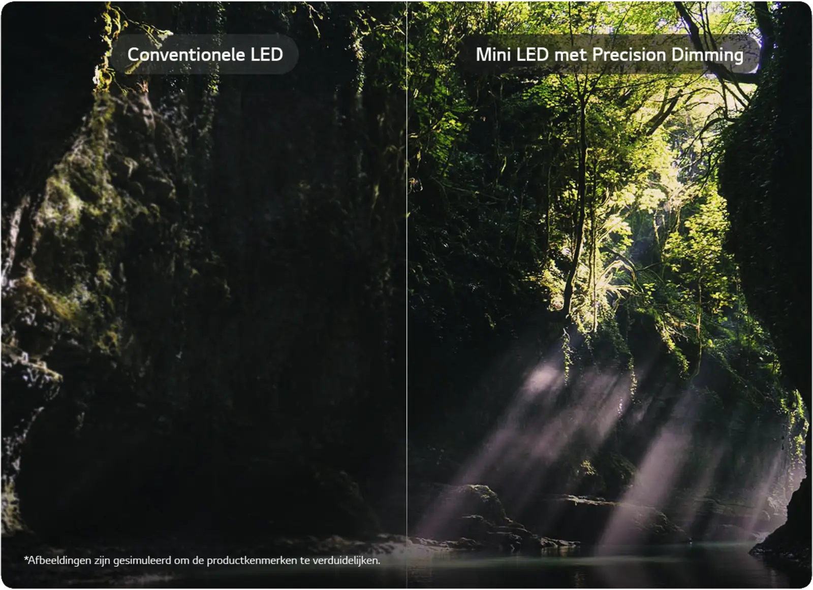 LG 100QNED87B6 QNED evo Mini-LED 4K Smart TV (2026)