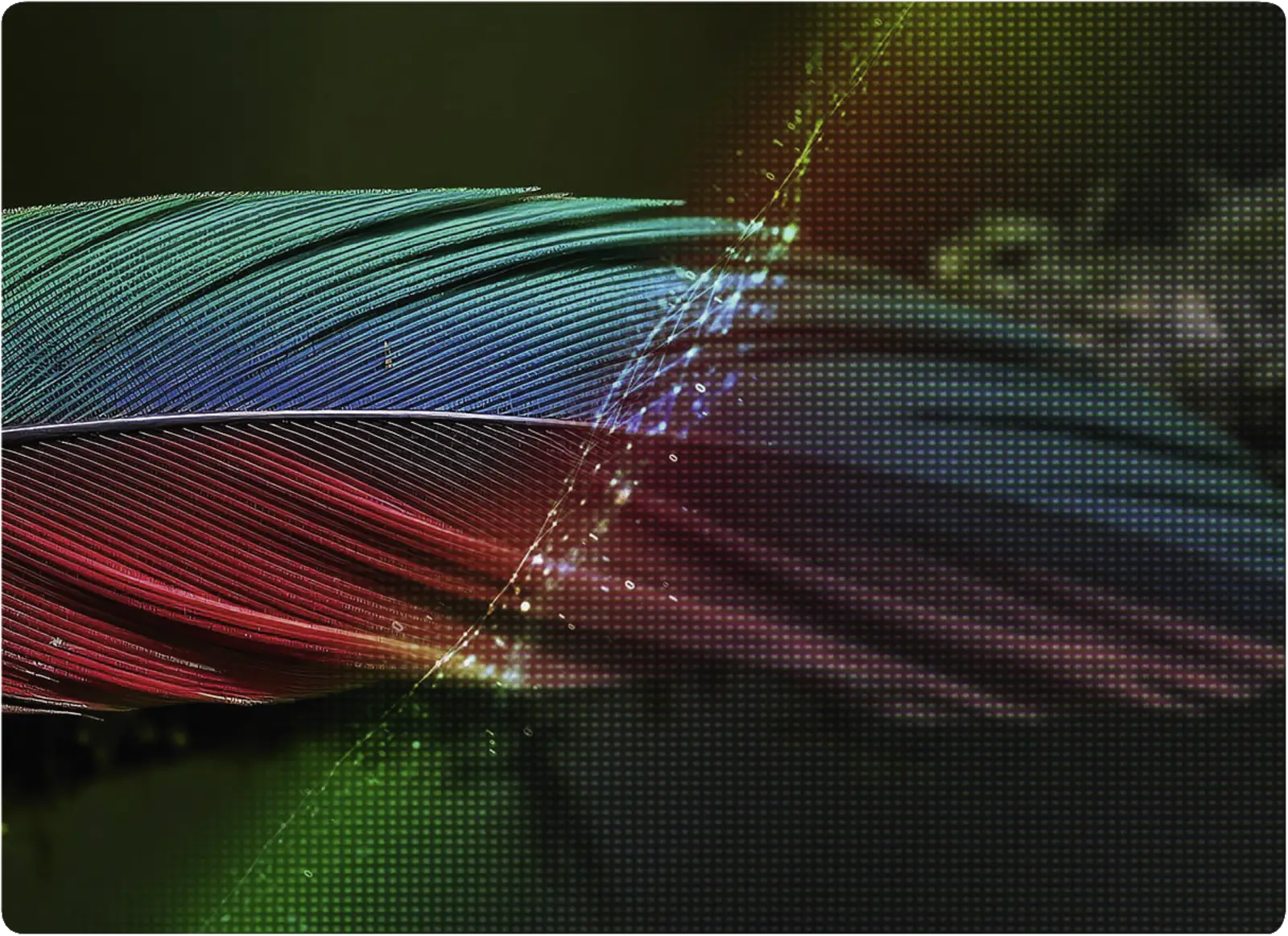 LG 65NU900B6LA NANO 4K UHD TV Smart TV (2026)