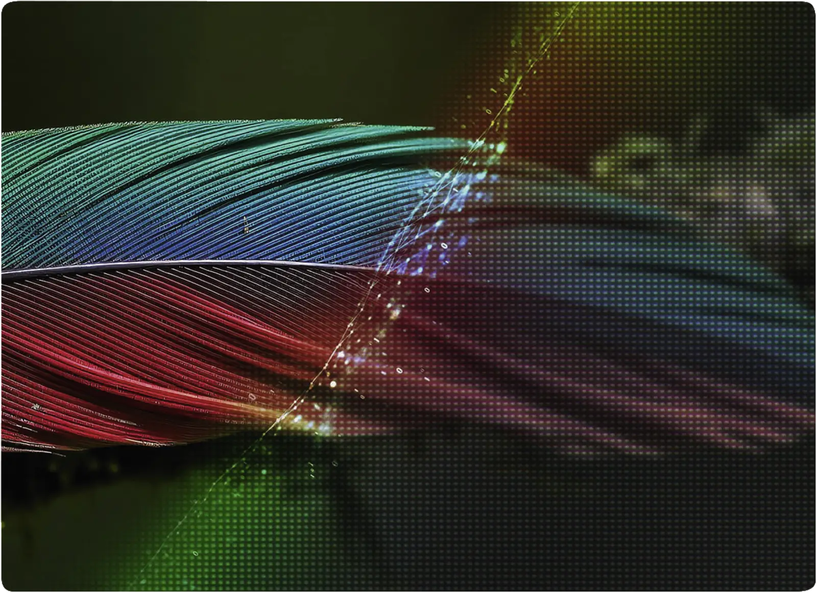 LG 55NU900B6LA NANO 4K UHD TV Smart TV (2026)