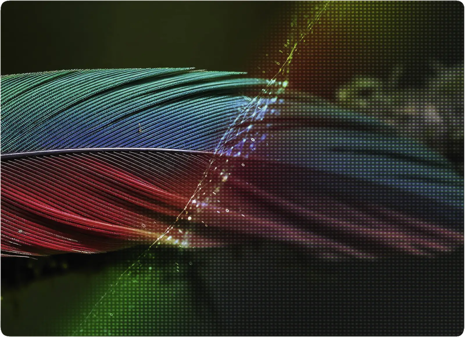 LG 50NU900B6LA NANO 4K UHD TV Smart TV (2026)