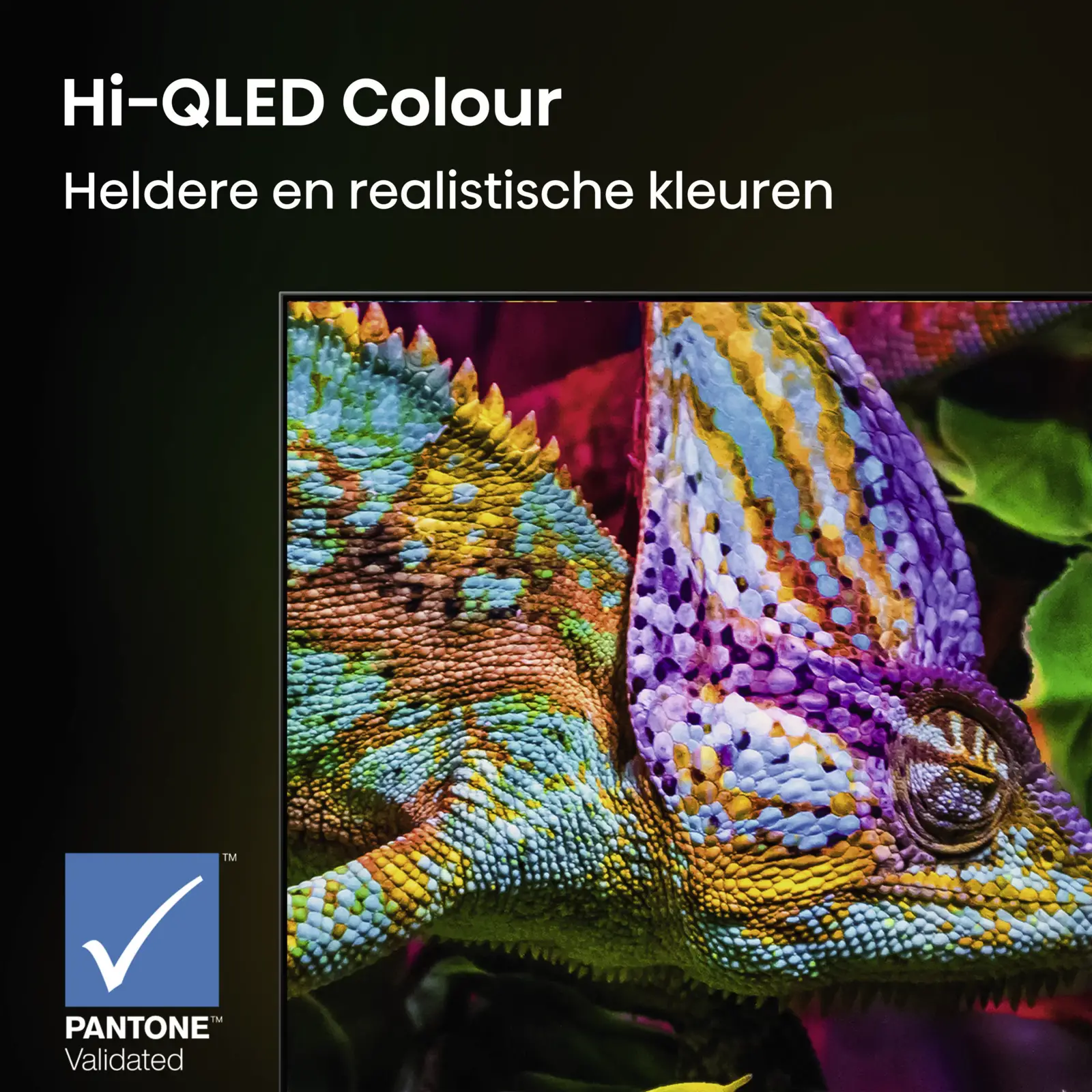 Hisense 100U79SE Hi-QLED MiniLED 4K 165Hz Smart TV (2026)