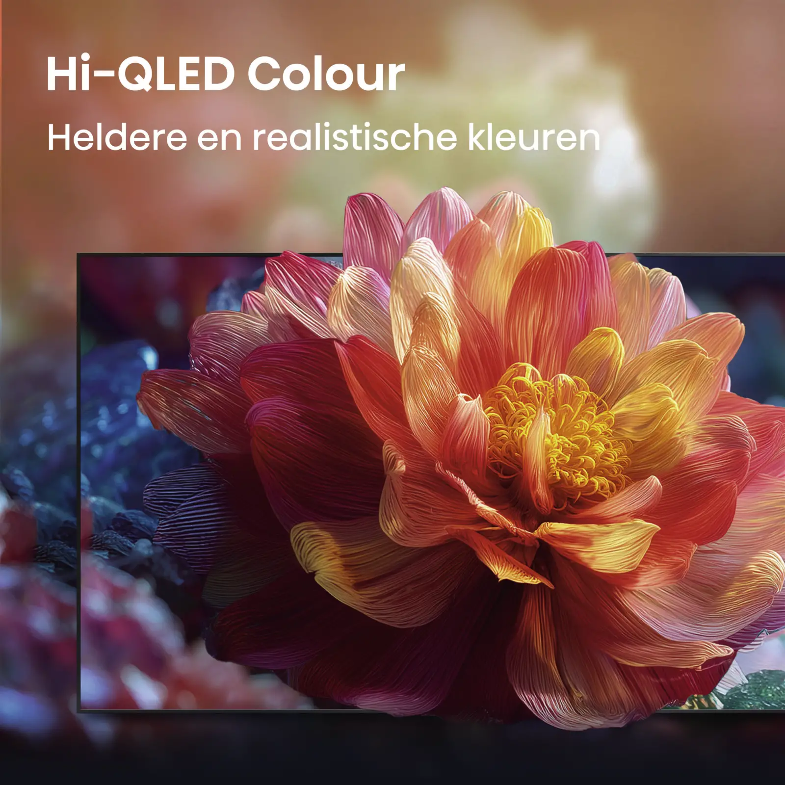 Hisense 75E79S Hi-QLED 4K 60Hz Smart TV (2026)