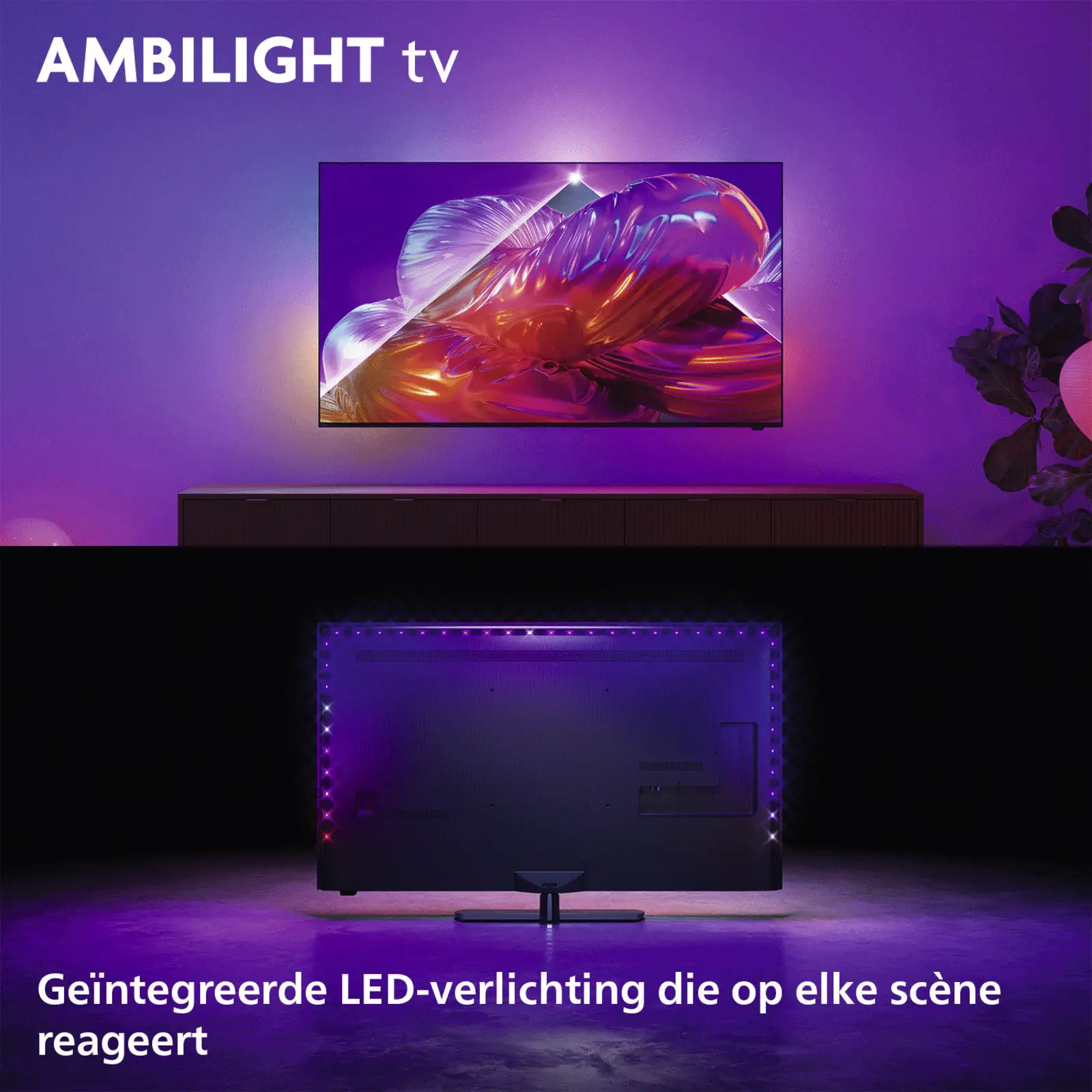 Philips 55PQS9081 4k QLED Ambilight TV 55 inch (The One - 2026)