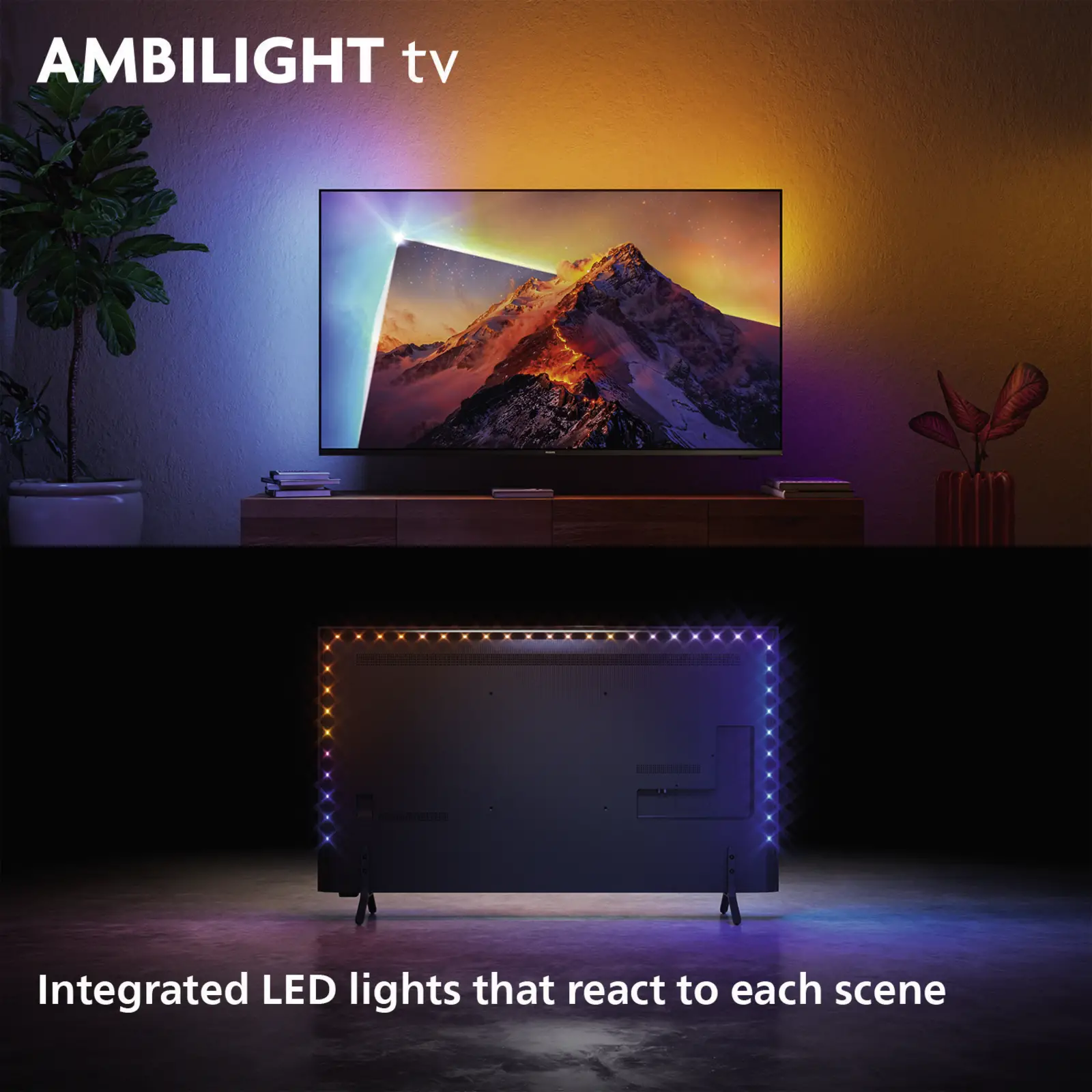 Philips 65PQS8601 4k QLED Ambilight TV 65 inch XXL (2026)