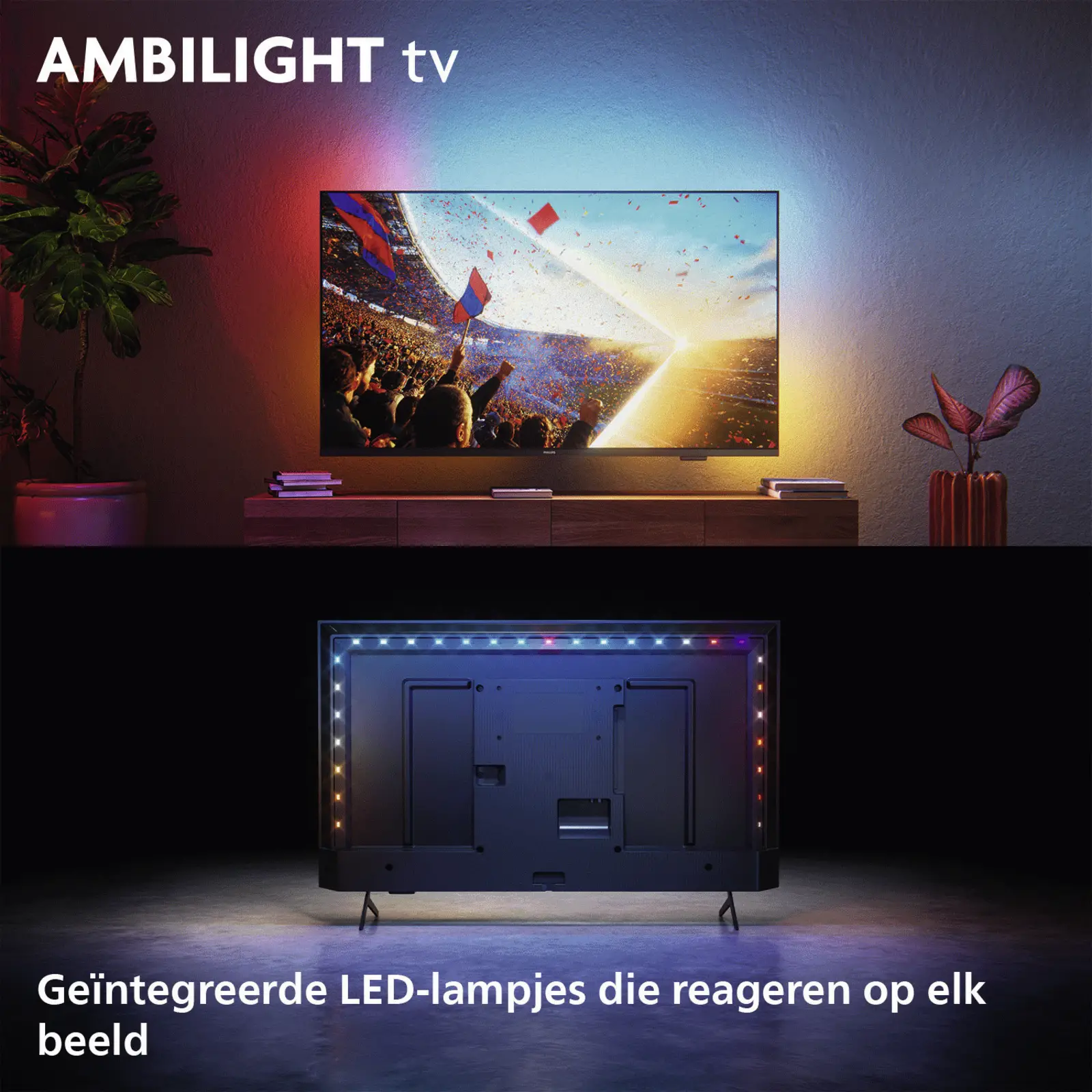Philips 55PUS8001 4k UHD LED Ambilight TV 55 inch (2026)