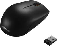 Abbildung: 300 Wireless Compact Mouse Projekt (P)