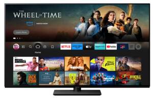 Abbildung: TV-65Z85AEG