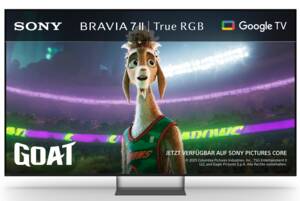 Sony Bravia 7II K55XR75M2B