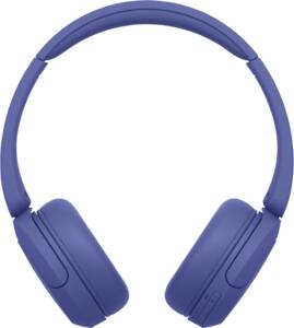 Sony WH-CH530