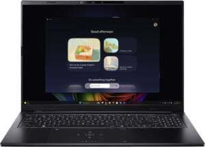 Acer Swift Go 16 AI OLED (SFG16-74-756J)