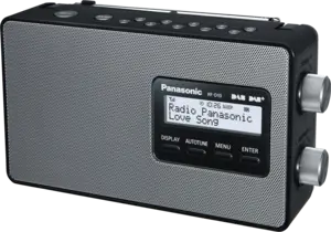 Panasonic RF-D10EG-K