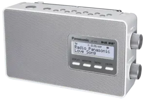 Panasonic RF-D10EG-W
