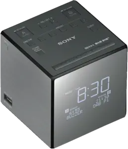 Sony XDR-C1DBP