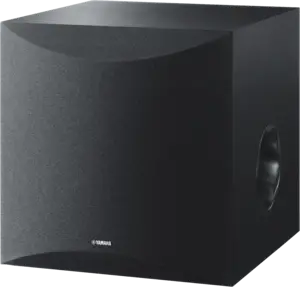 NS-SW100